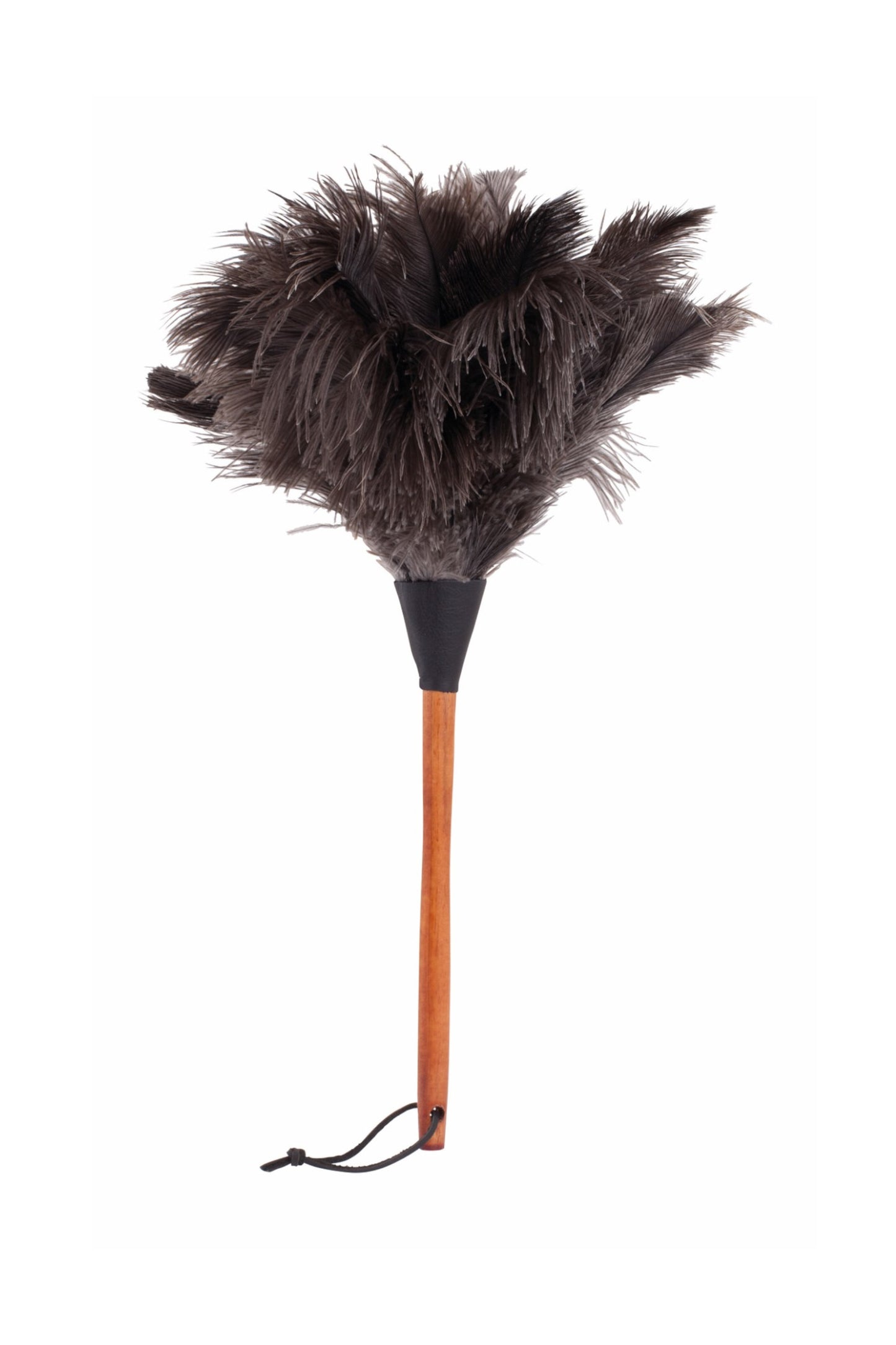 Straußenwedel, 50 cm